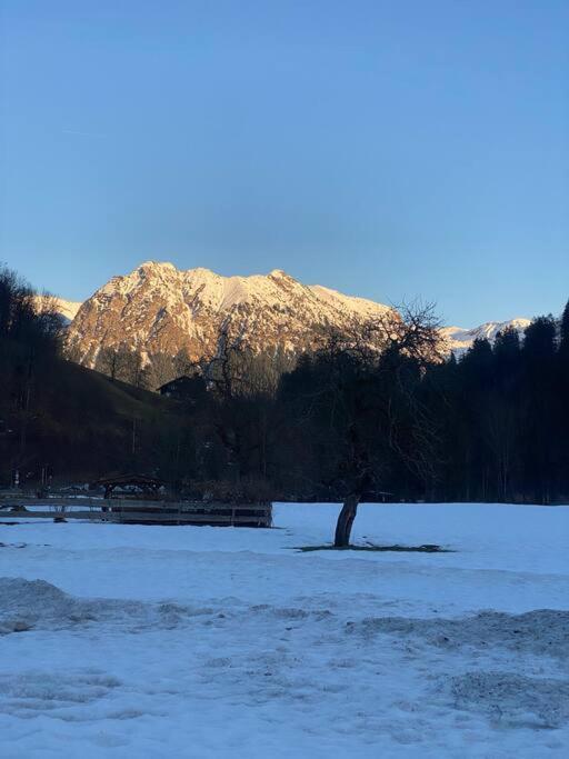 Gruenes Stueble Allgaeuer Alpen سونثوفن المظهر الخارجي الصورة